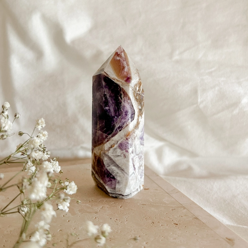 punta Ametista Fasciata